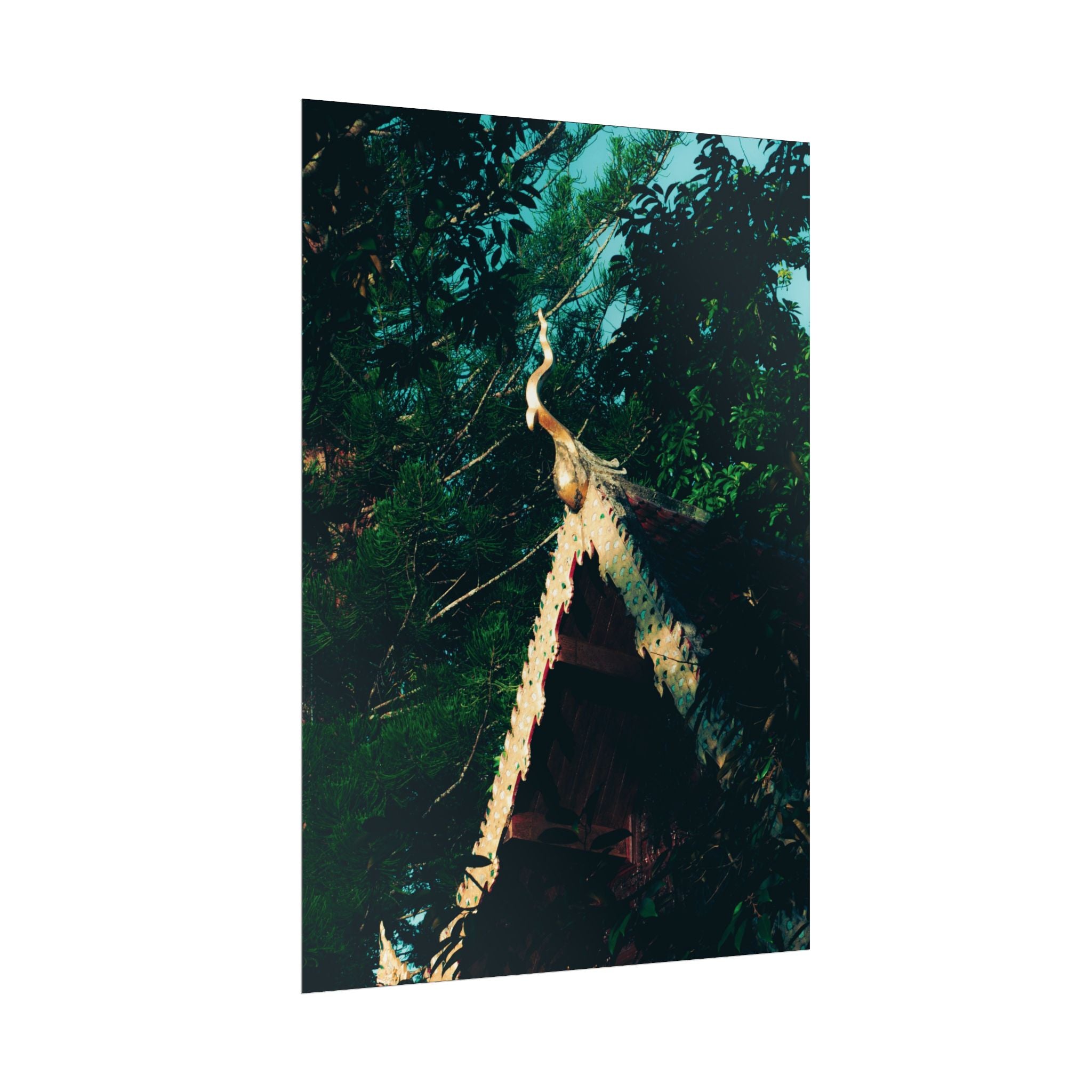 Hidden Forest Temple Poster | by LANG